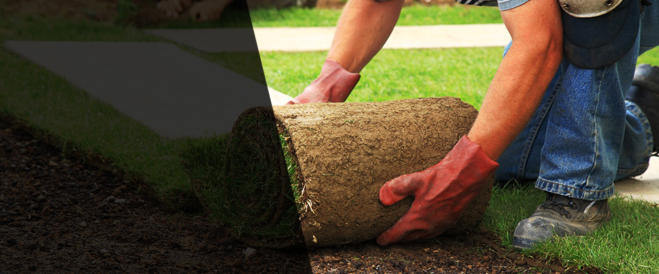 Michigan Landscapers